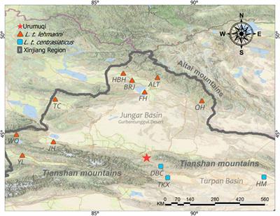 Population genetics analysis of Tolai hares (Lepus tolai) in Xinjiang, China using genome-wide SNPs from SLAF-seq and mitochondrial markers